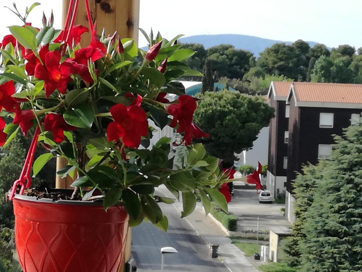 Nel Blu Dipinto Di Blu Apartman Porto Recanati Kültér fotó